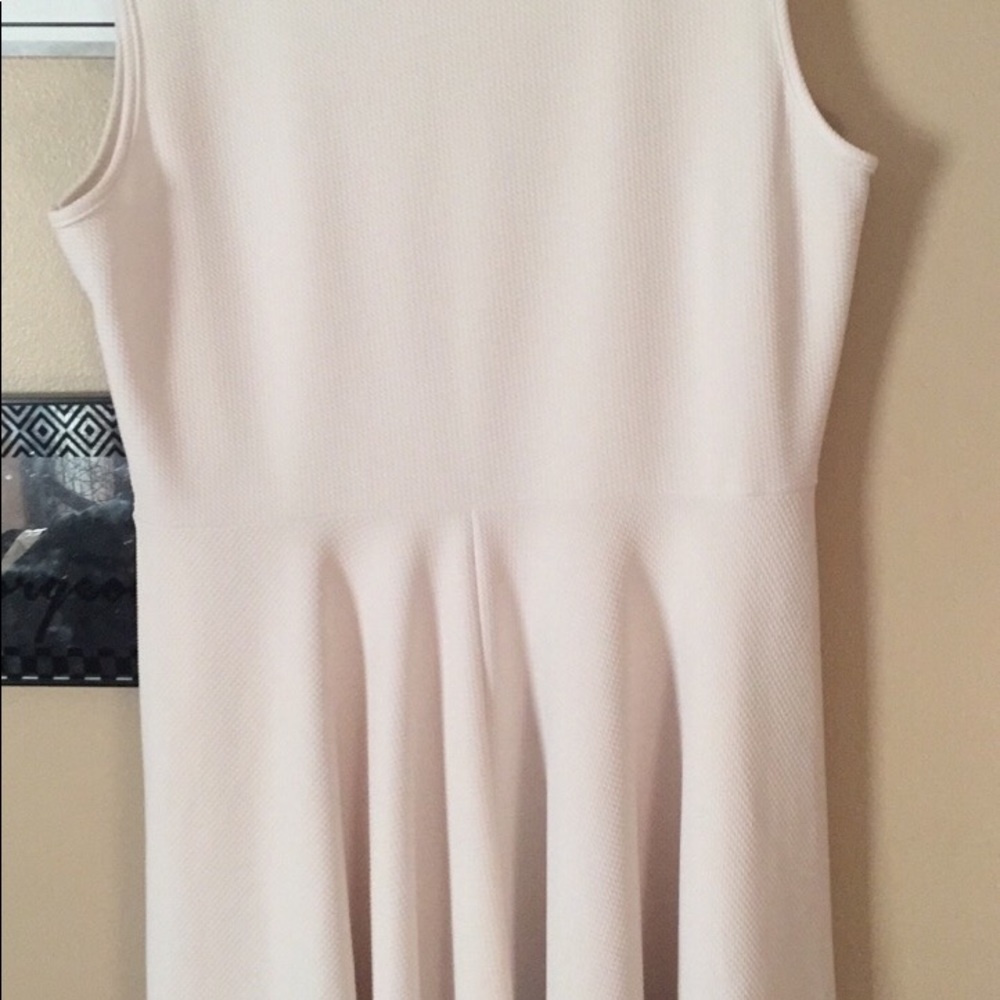 Ashley Stewart Dress